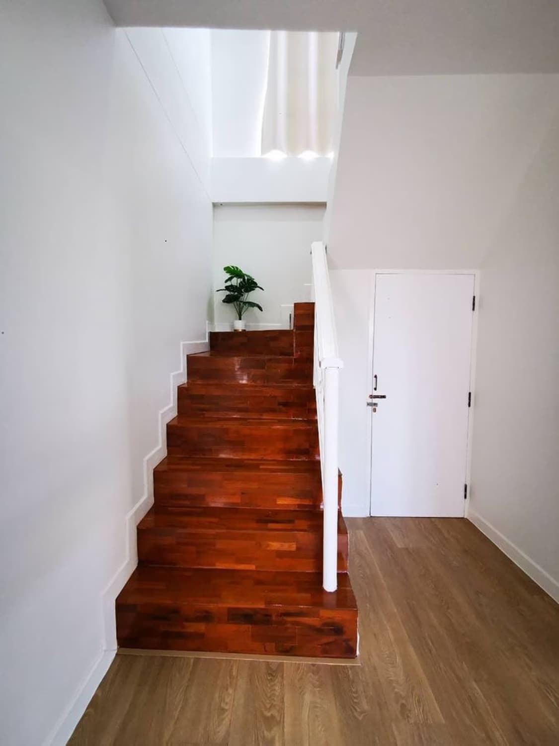 House for Rent in San Phi Suea, Mueang Chiang Mai. - Image 5