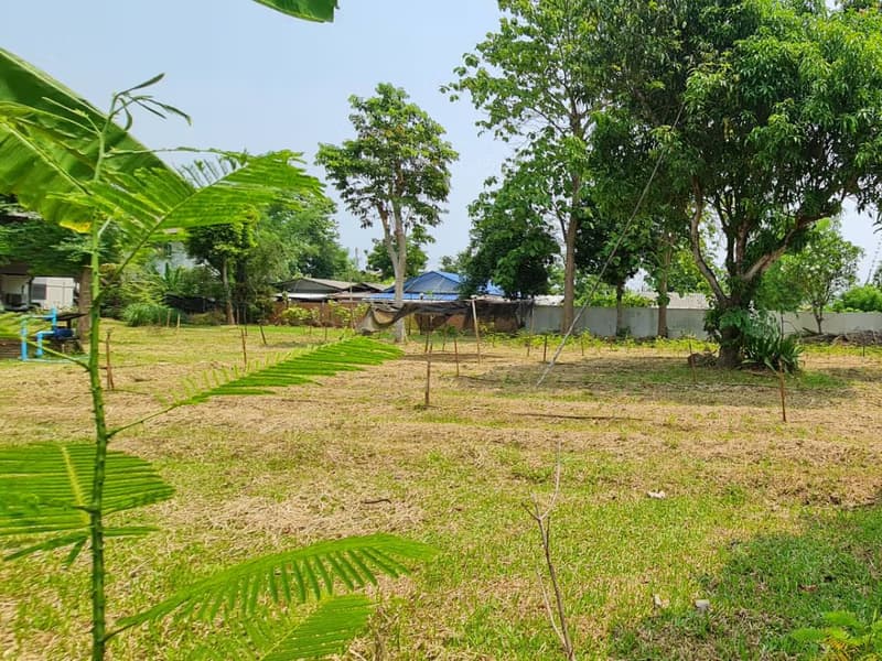 Land for Sale in Nong Phueng, Saraphi