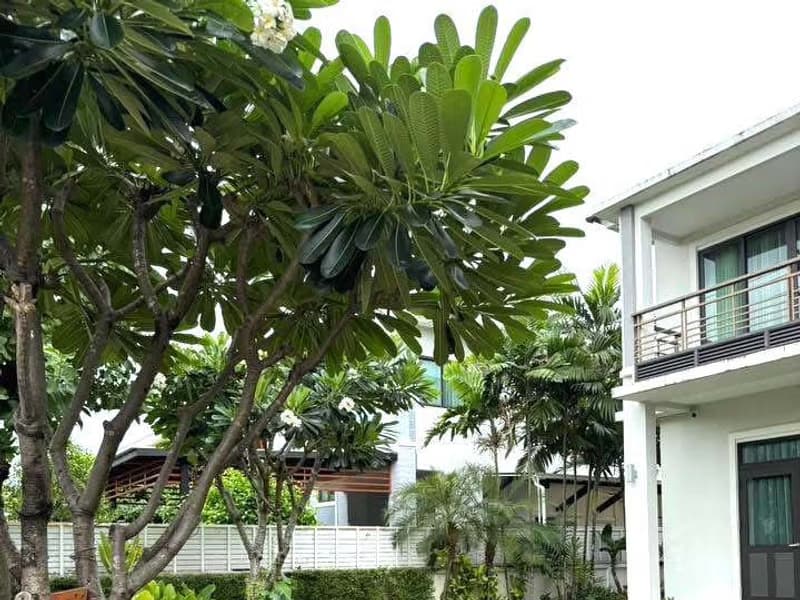 4 Bed House for Rent and Sale in Bang Phli, Samut Prakan