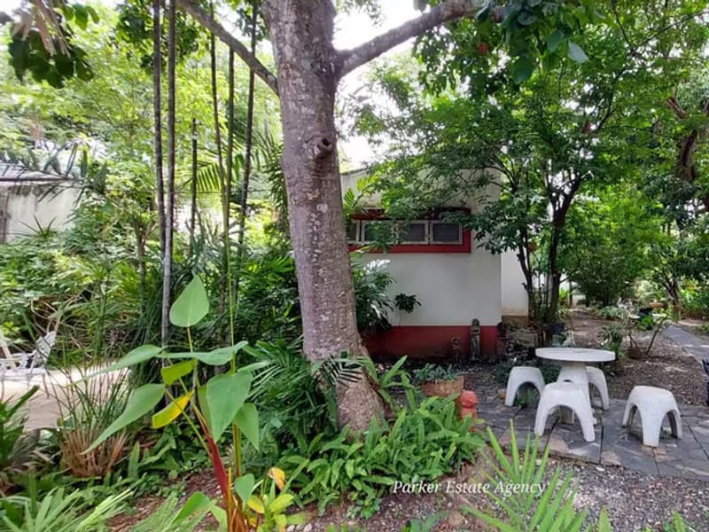 House for Sale in Chang Phueak, Mueang Chiang Mai.