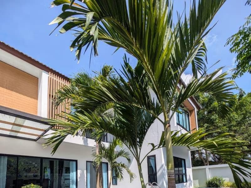 4 Bed House for Sale in Hang Dong District