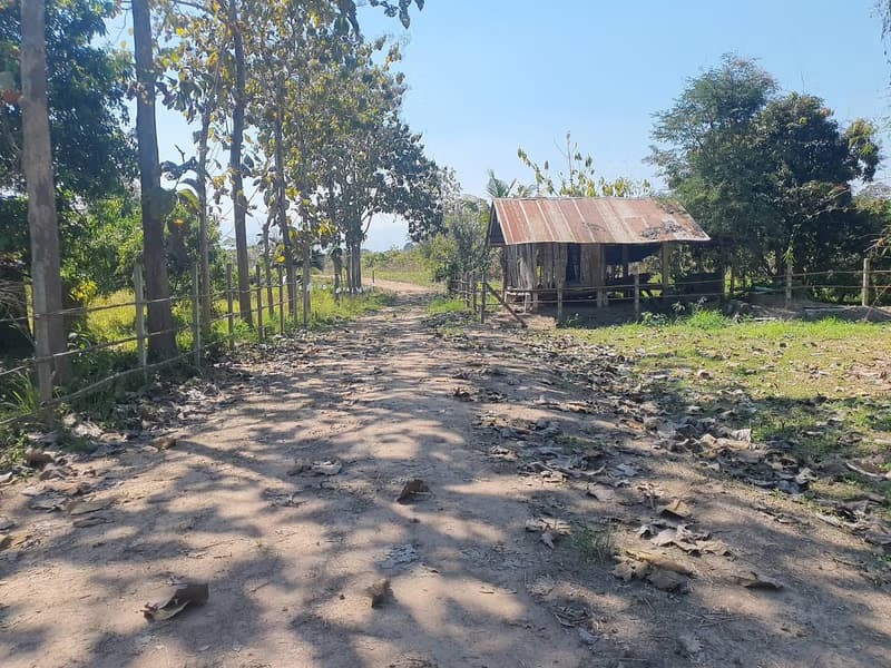  Land for Sale in อำเภอสันทราย