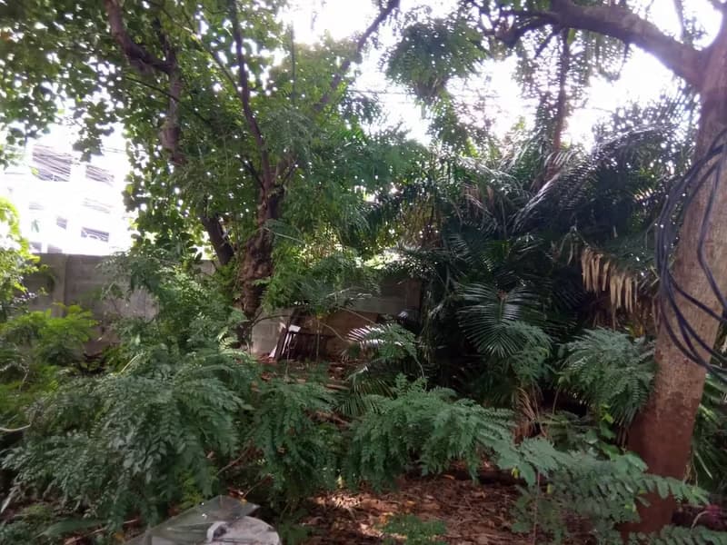 Land for Sale in Phra Khanong