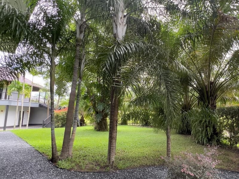 6 Bed House for Sale in Mae Rim District