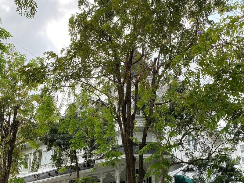 4 Bed Townhouse for Rent and Sale in Mueang Samut Prakan