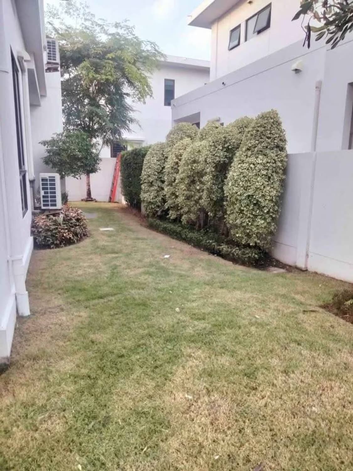 4 ห้องนอน บ้าน สำหรับ จำหน่าย ใน อำเภอบางพลี - Image 24