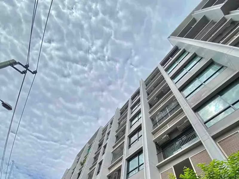 1 Bedroom Condo