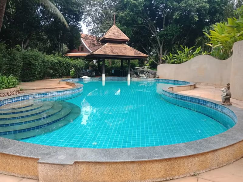 House for Rent and Sale
