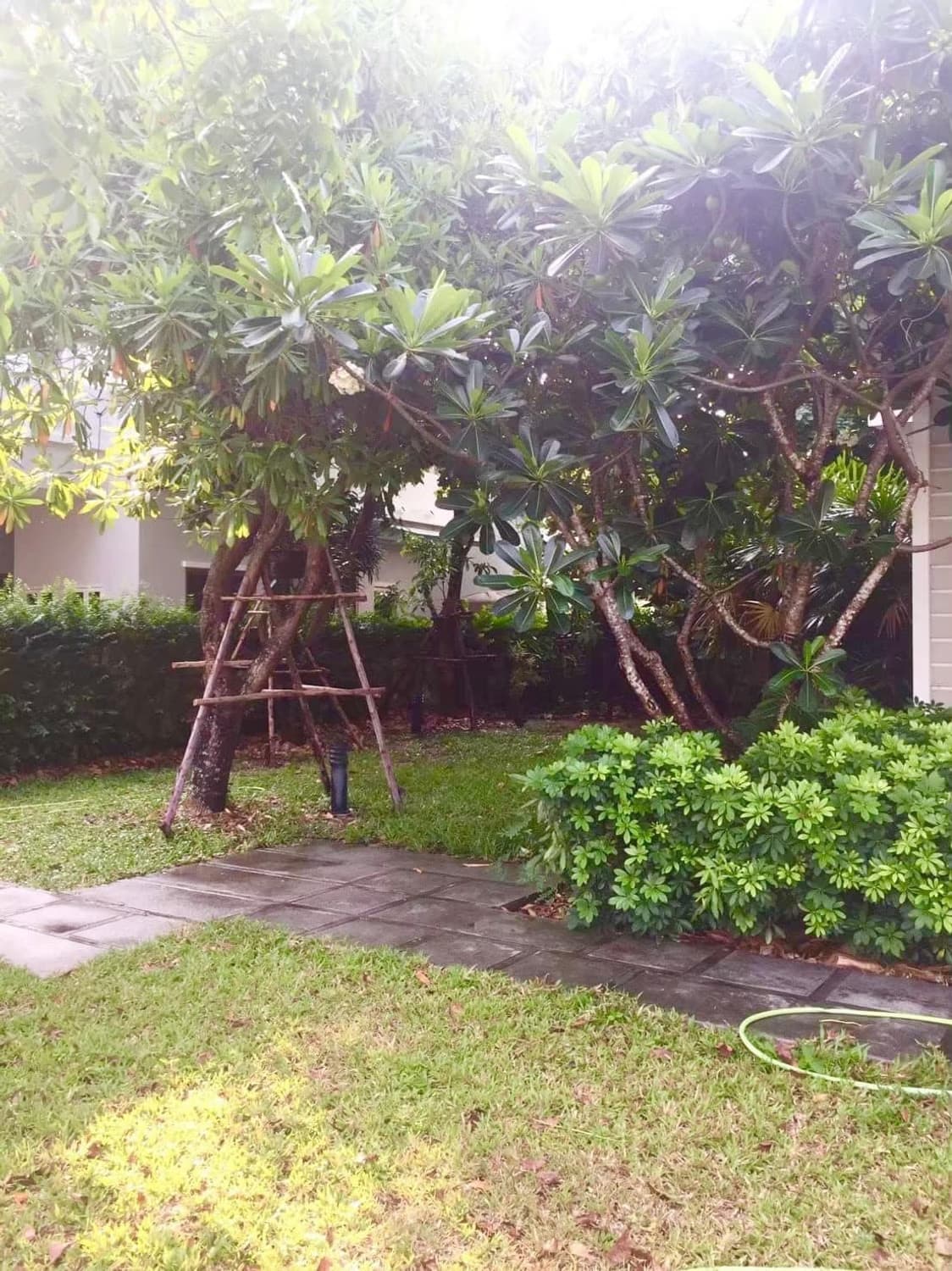 House for Sale at  Perfect Masterpeice Rama 9 - Image 31