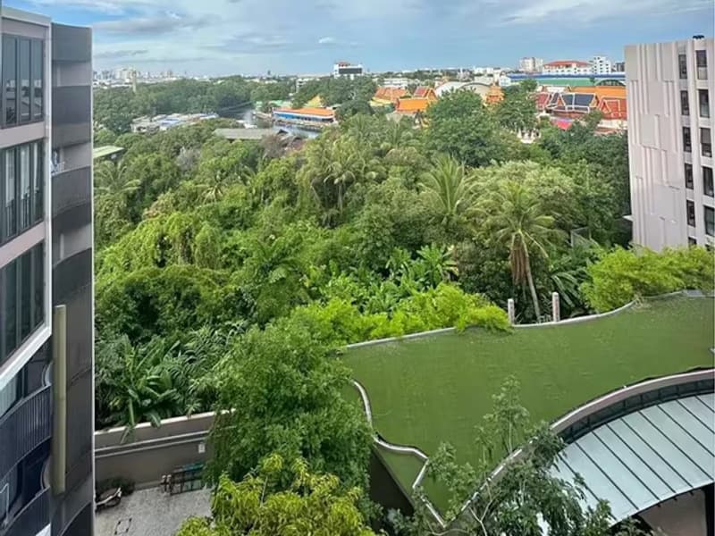 1 Bedroom Condo