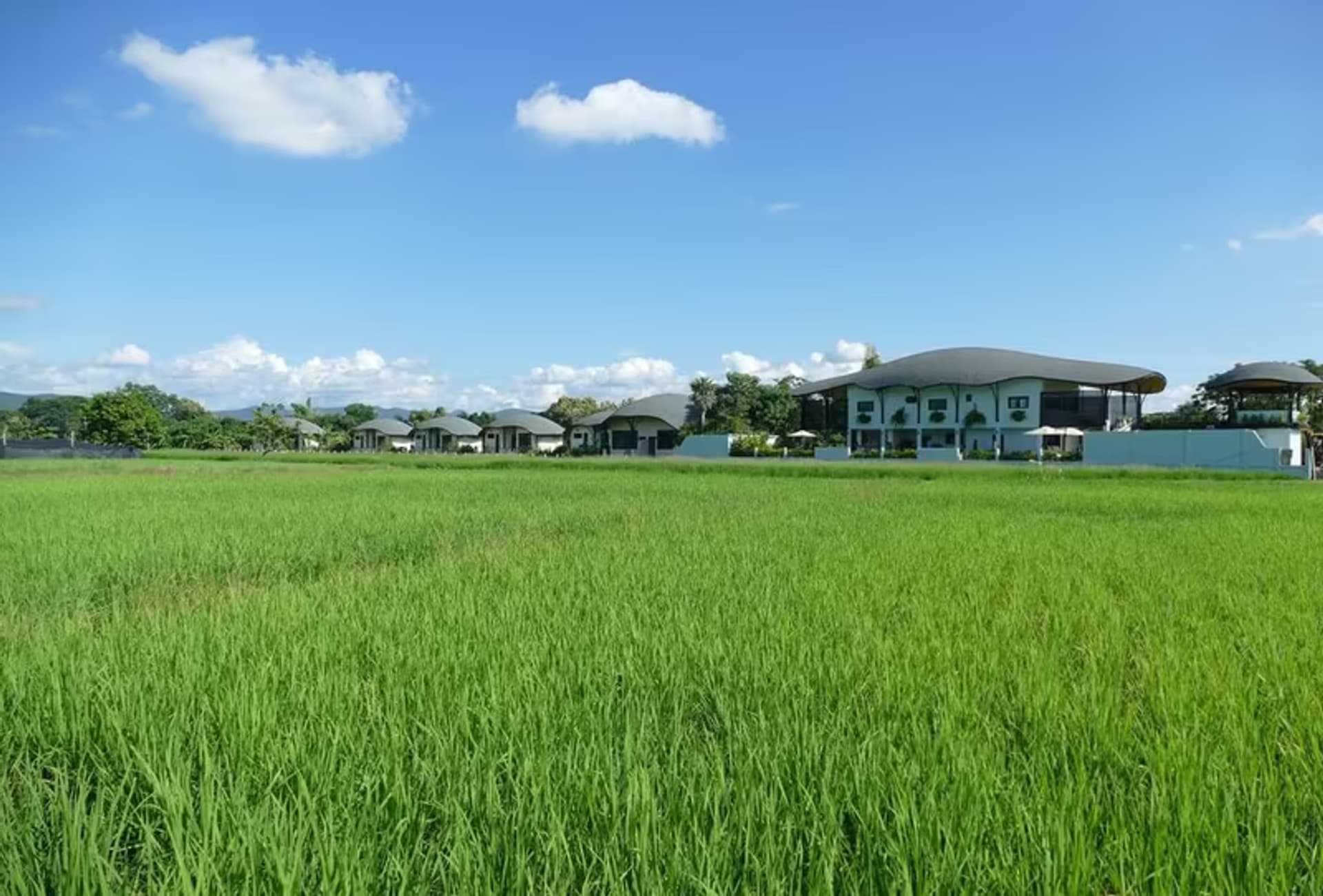 A Resort in Doi Saket - Image 9