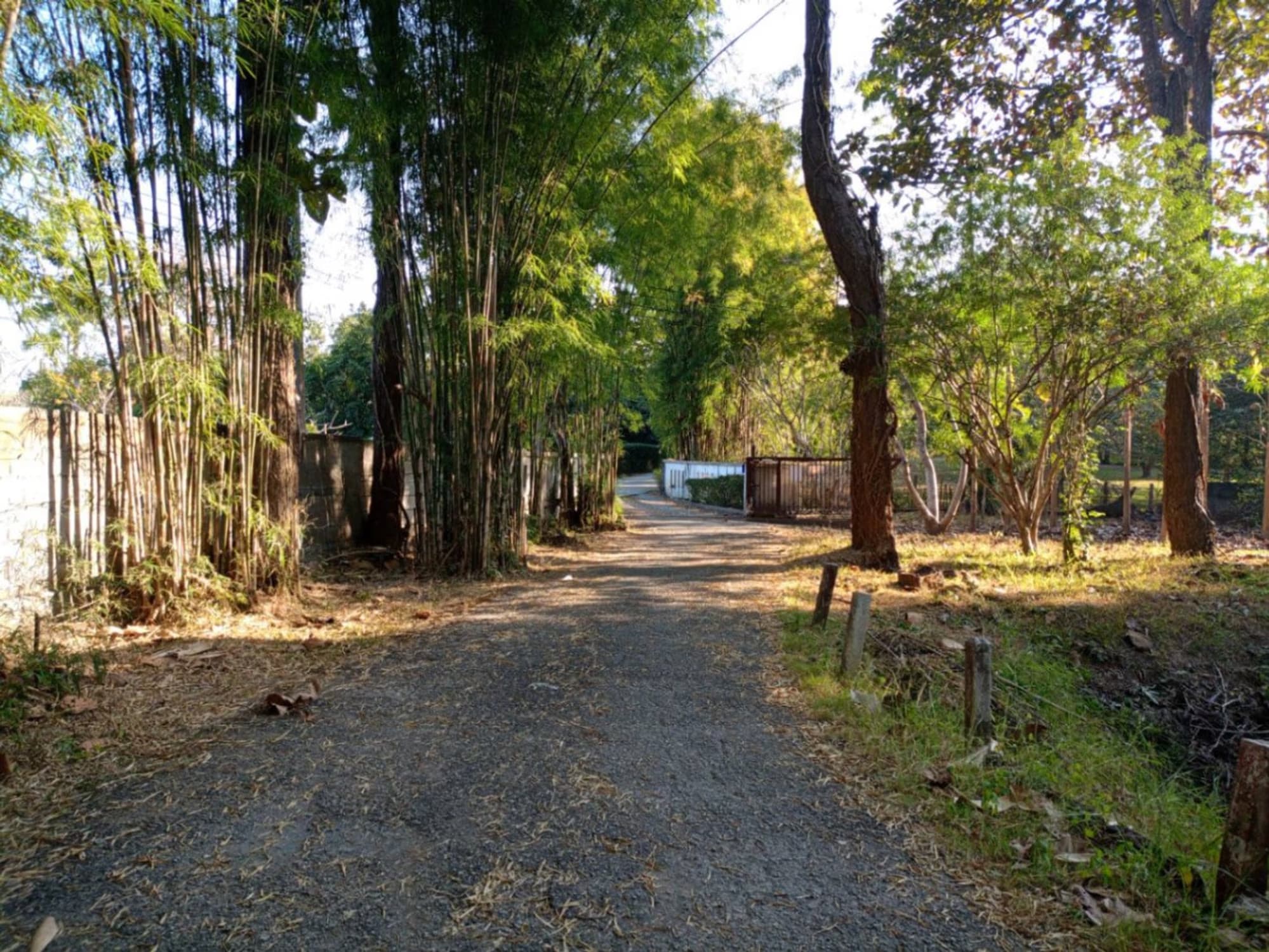 2 Bed House for Rent in Mae Rim District - Image 13