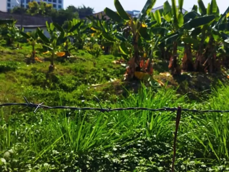Land for Sale in 