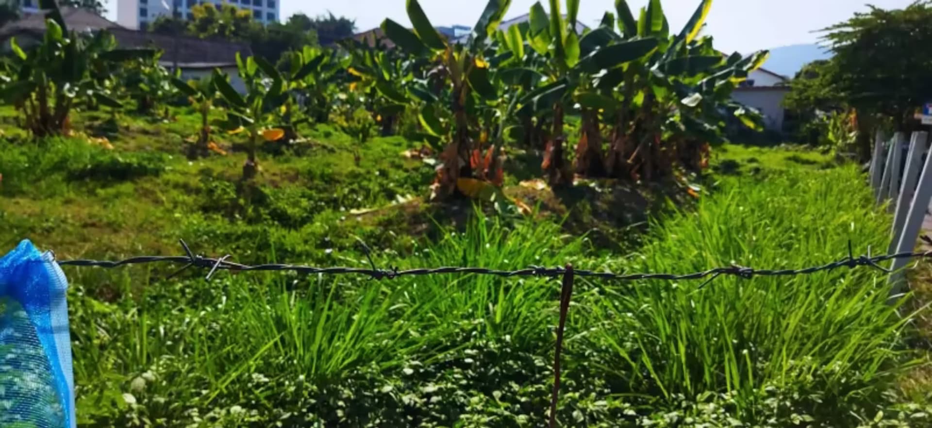 Land for Sale in  - Image 13
