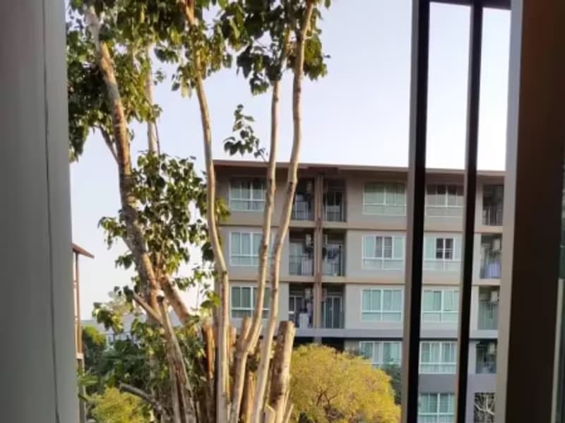 1 Bedroom Condo