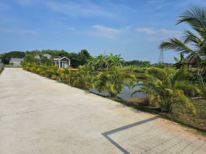 House/Cafe for Rent and Sale in Mae Rim