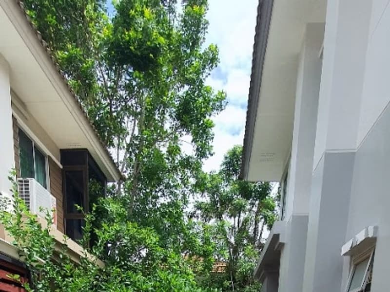 3 Bed House for Rent in Bang Phli