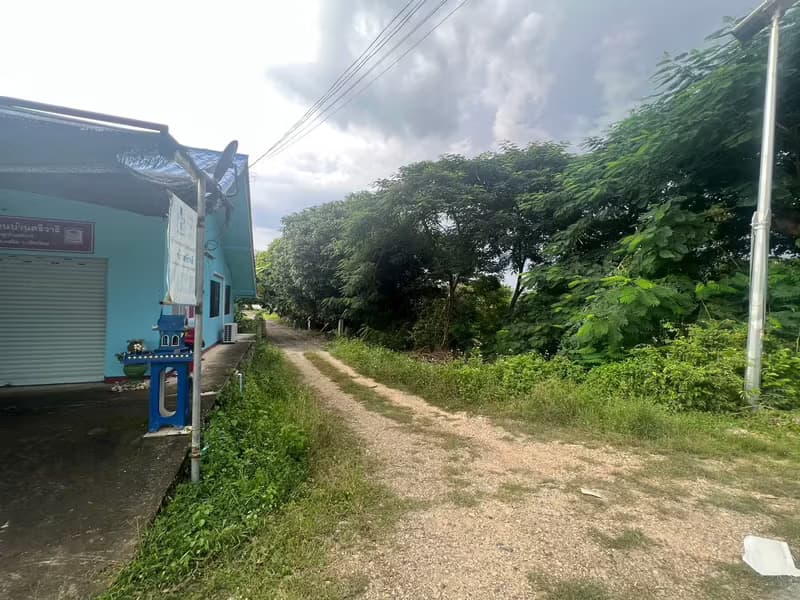 Land for Sale in Mueang Kaeo, Mae Rim