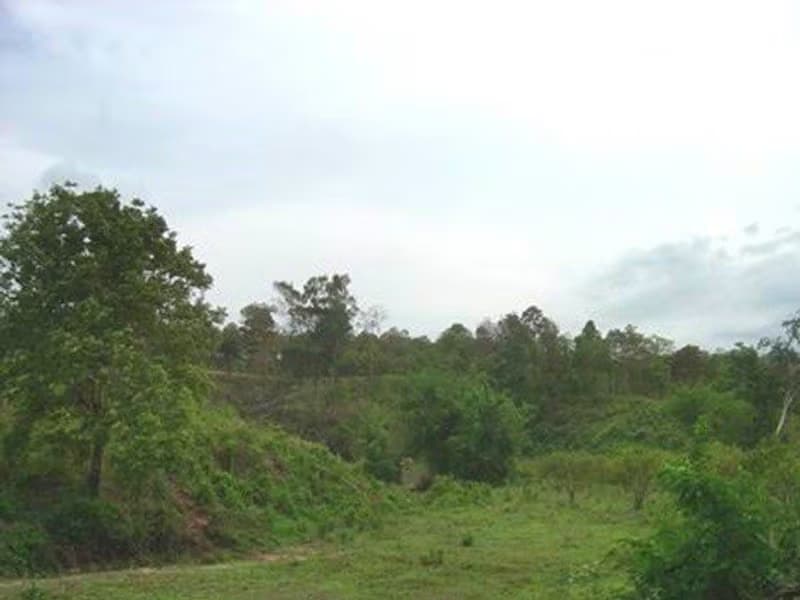  Land for Sale in Mae Taeng District