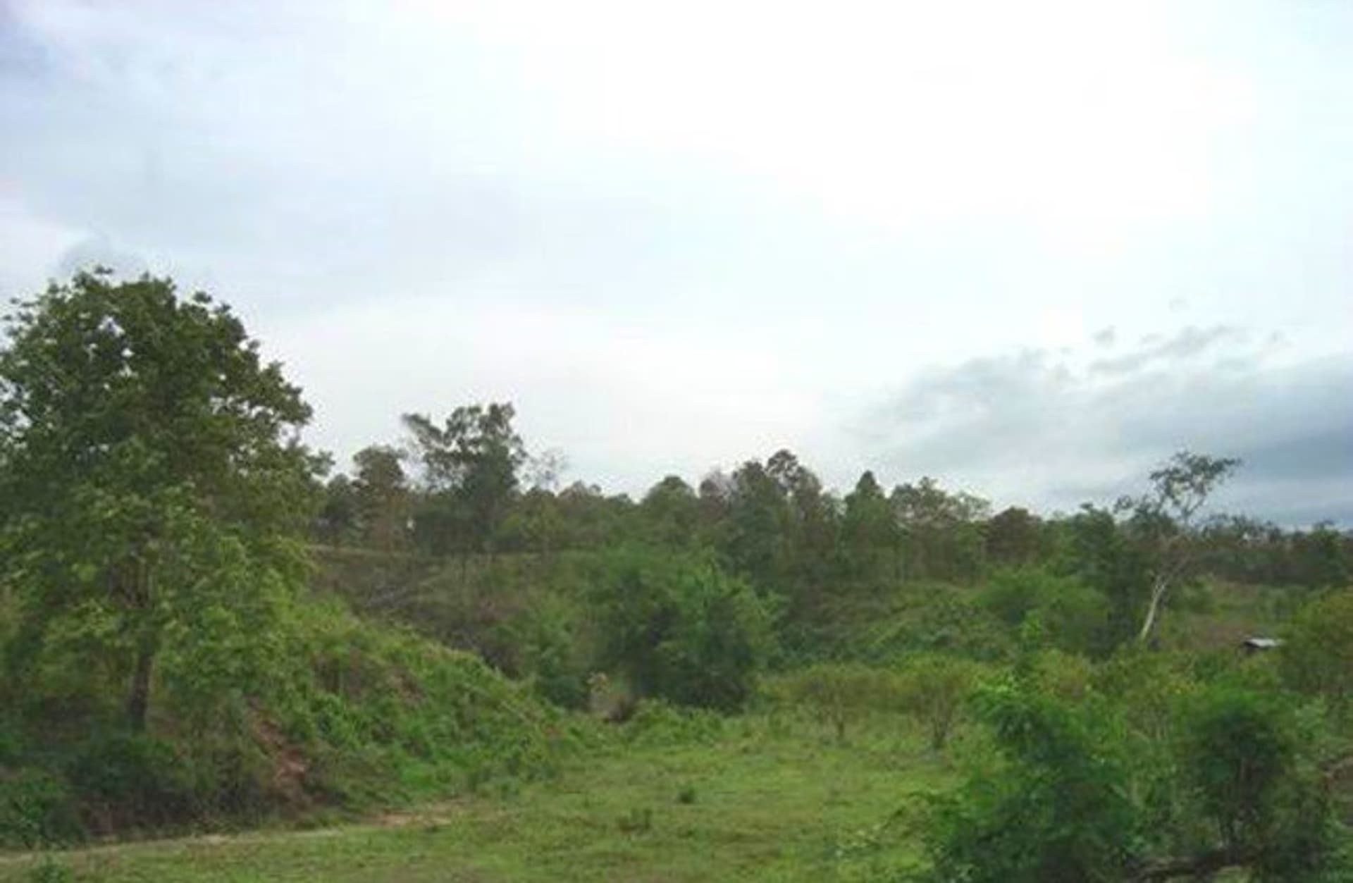  land 用于 出售 在 Mae Taeng District - Image 2