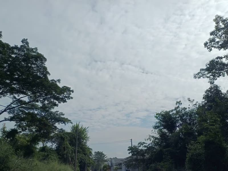  Land for Sale in San Sai District