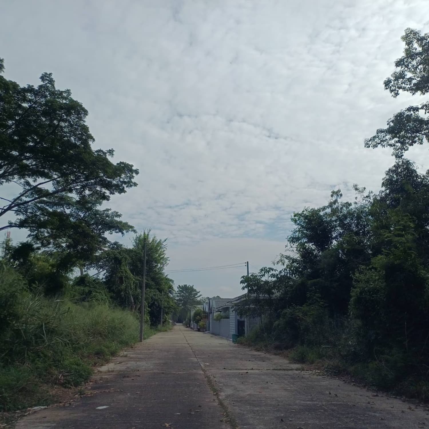  Land for Sale in San Sai District - Image 2