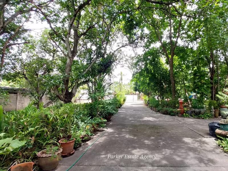 House for Sale in Chang Phueak, Mueang Chiang Mai.