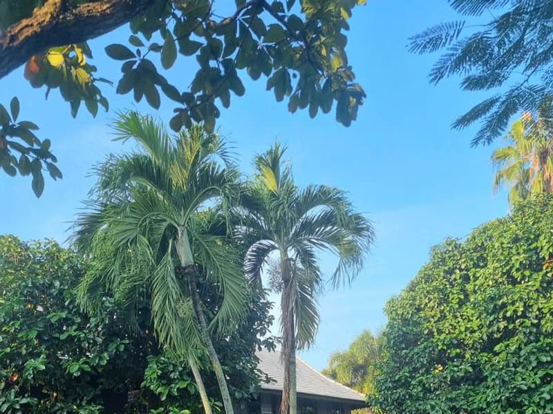 House for Sale in , San Sai.  