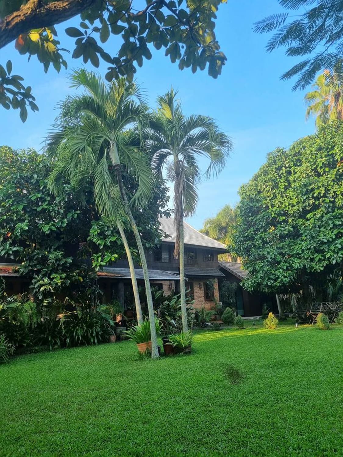 House for Sale in , San Sai.   - Image 10