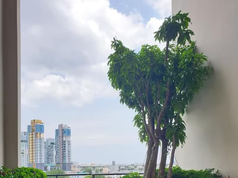Studio for Rent in Bang Na