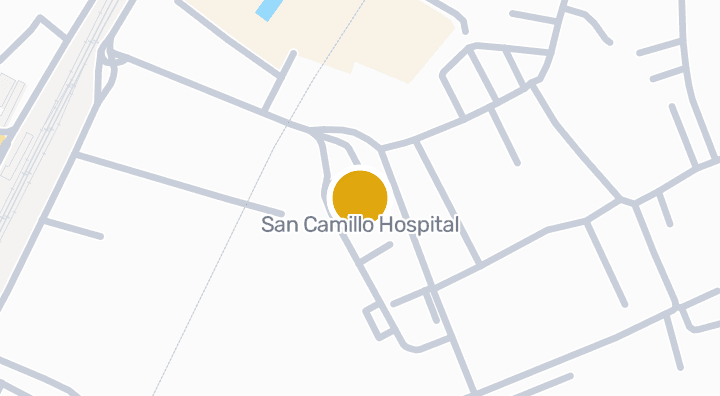Karte von San Camillo Hospital
