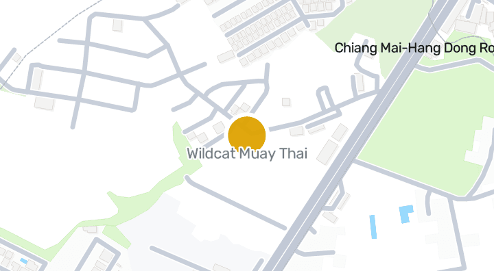 显示Wildcat Muay Thai的地图