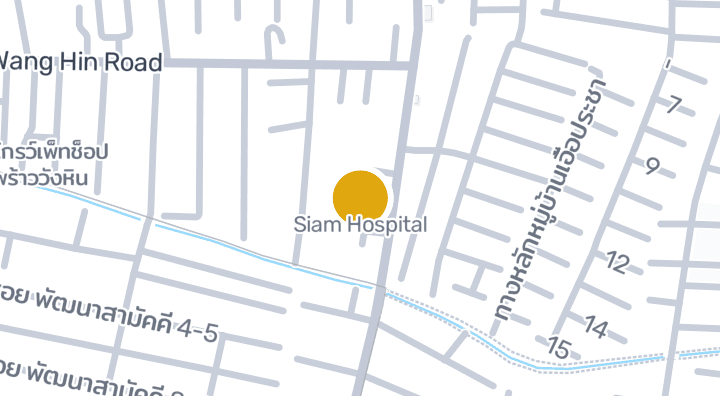 Siam Hospital 위치 지도