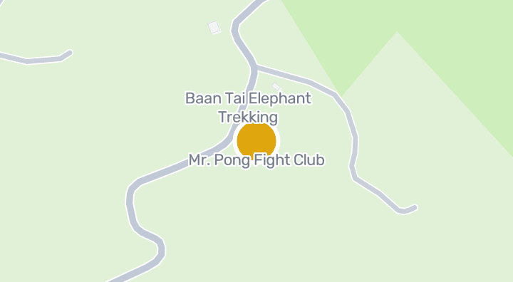แผนที่แสดงMr. Pong Fight Club