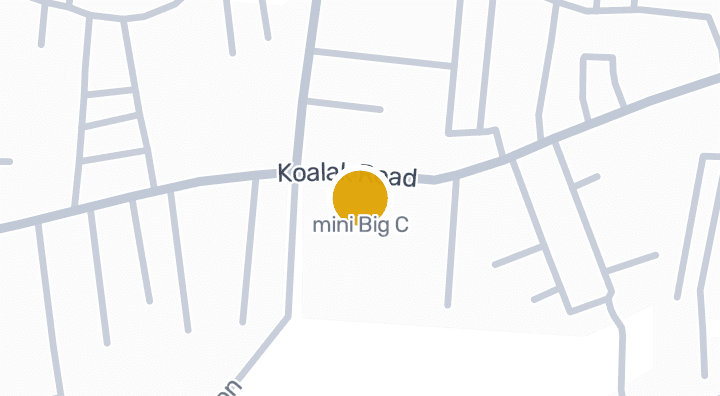 显示mini Big C的地图