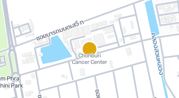 显示Chonburi Cancer Center的地图