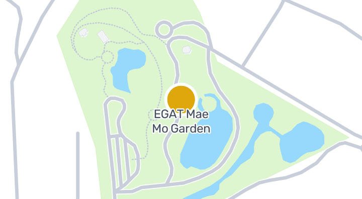 แผนที่แสดงทุ่งดอกบัวตอง กฟผ.แม่เมาะ
