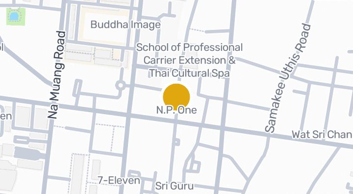 显示N.P. One的地图