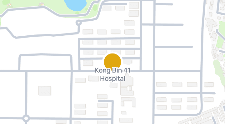 显示Kong Bin 41 Hospital的地图